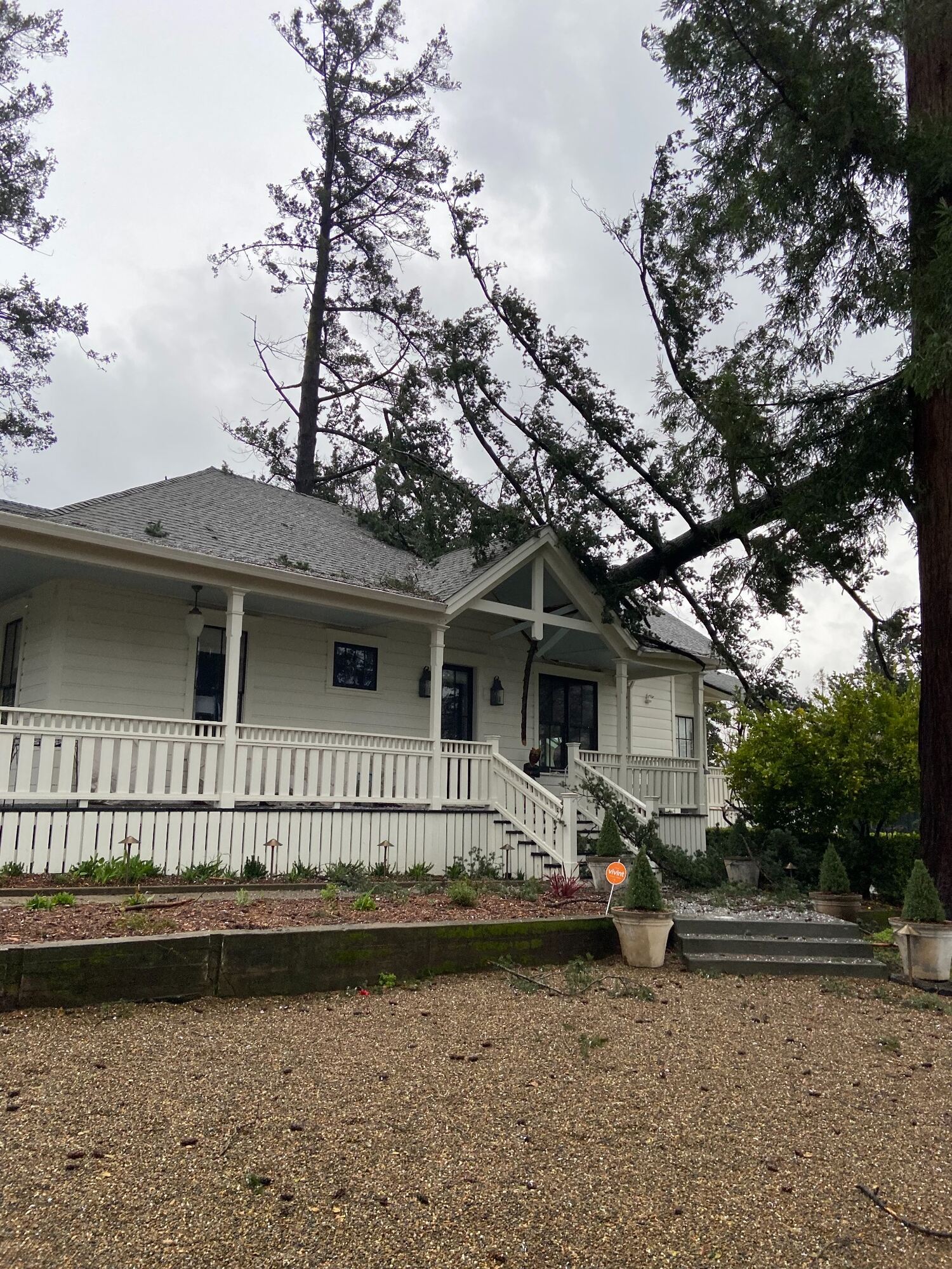 front porch of a Napa home with a large tree on the roof