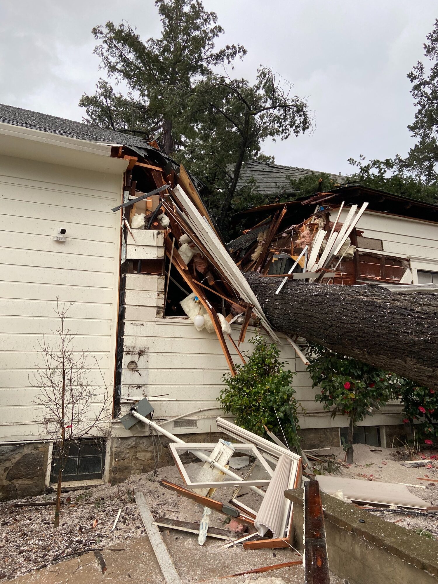 redwood tree crashed through on white Napa home